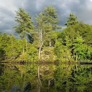 Meet your Posher, Justin